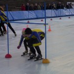 Rimg0517